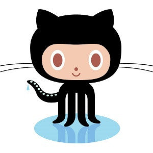 Experienced Github User